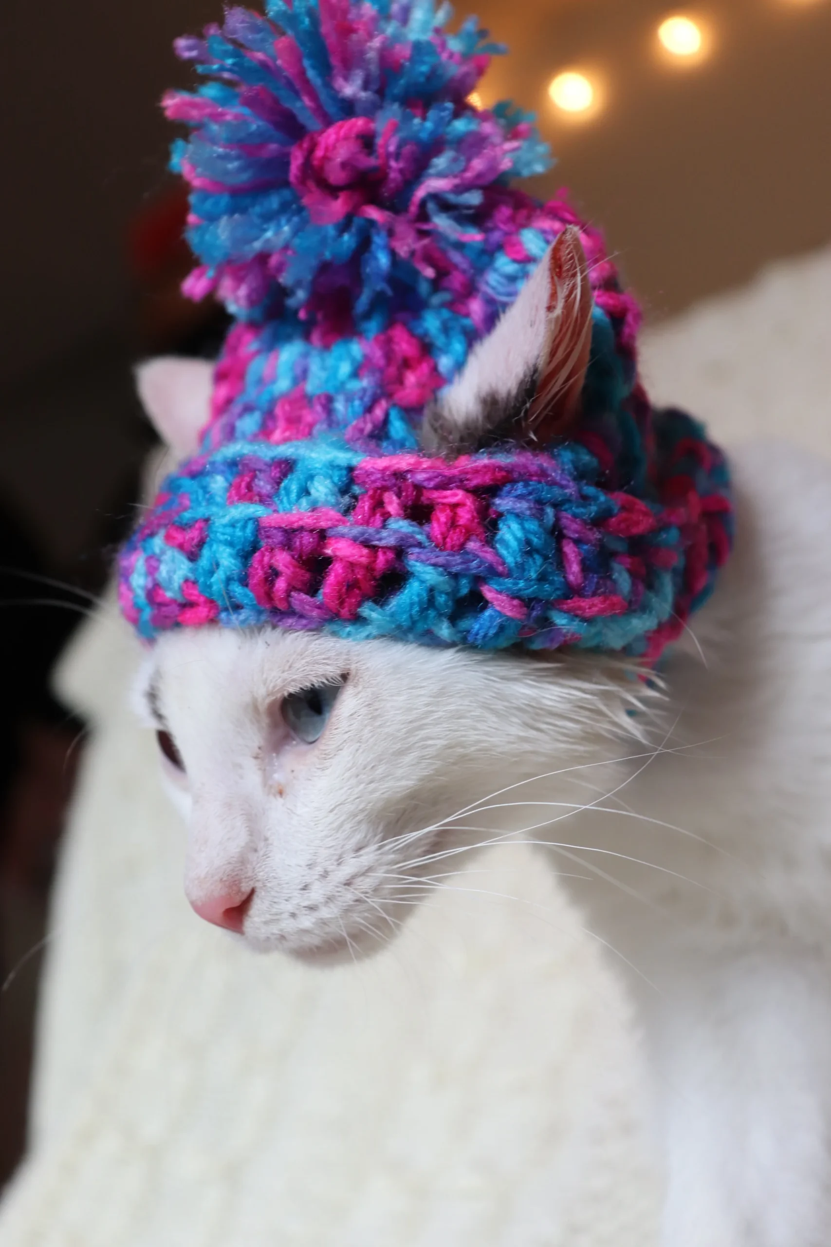 Mylo Fuzzy Ear Beanie: The Cozy Hat You’ll Love